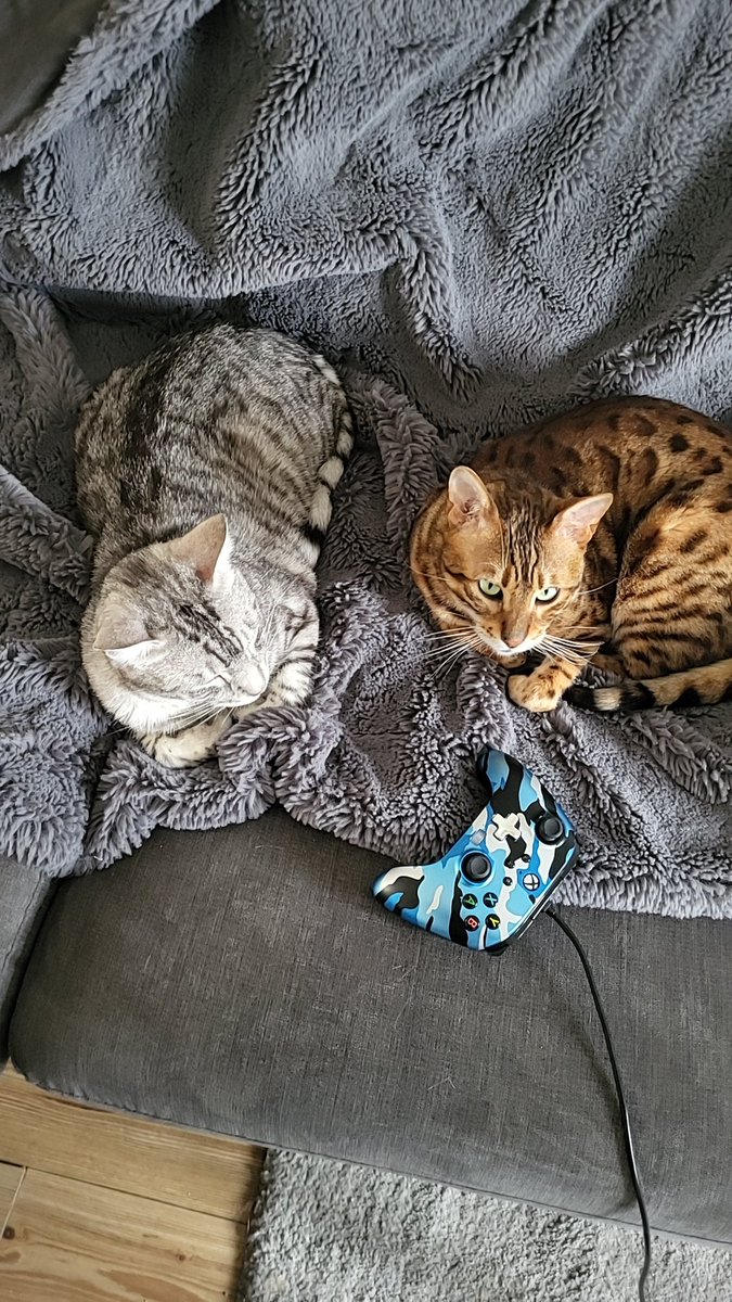 Beckie Elliott (@fletchhhh) on Twitter photo 