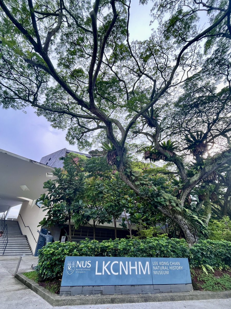 Walter Dellisanti, PhD 🪸🔬🤿 tweet media