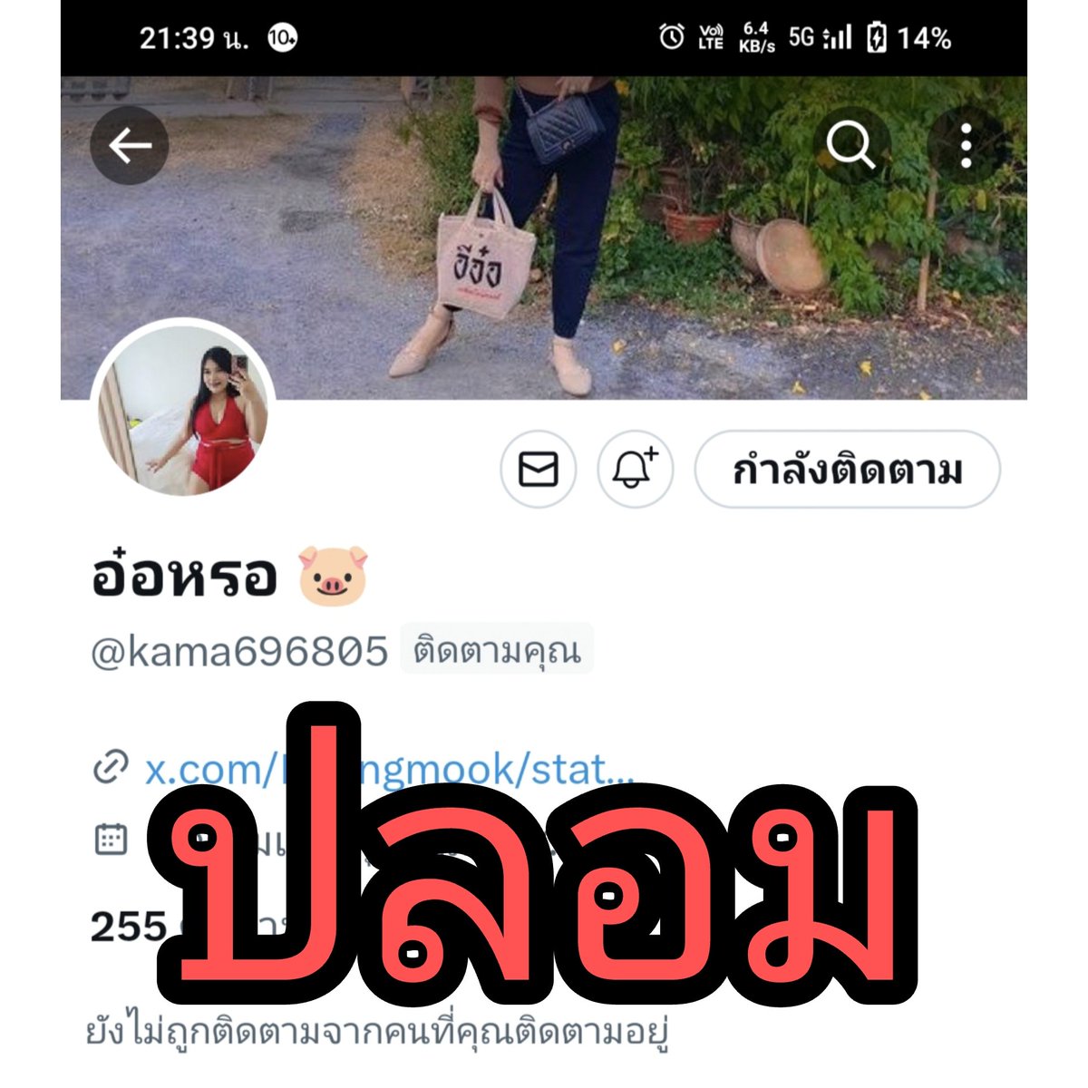🐷อ๋อหรอ 🐷 tweet media