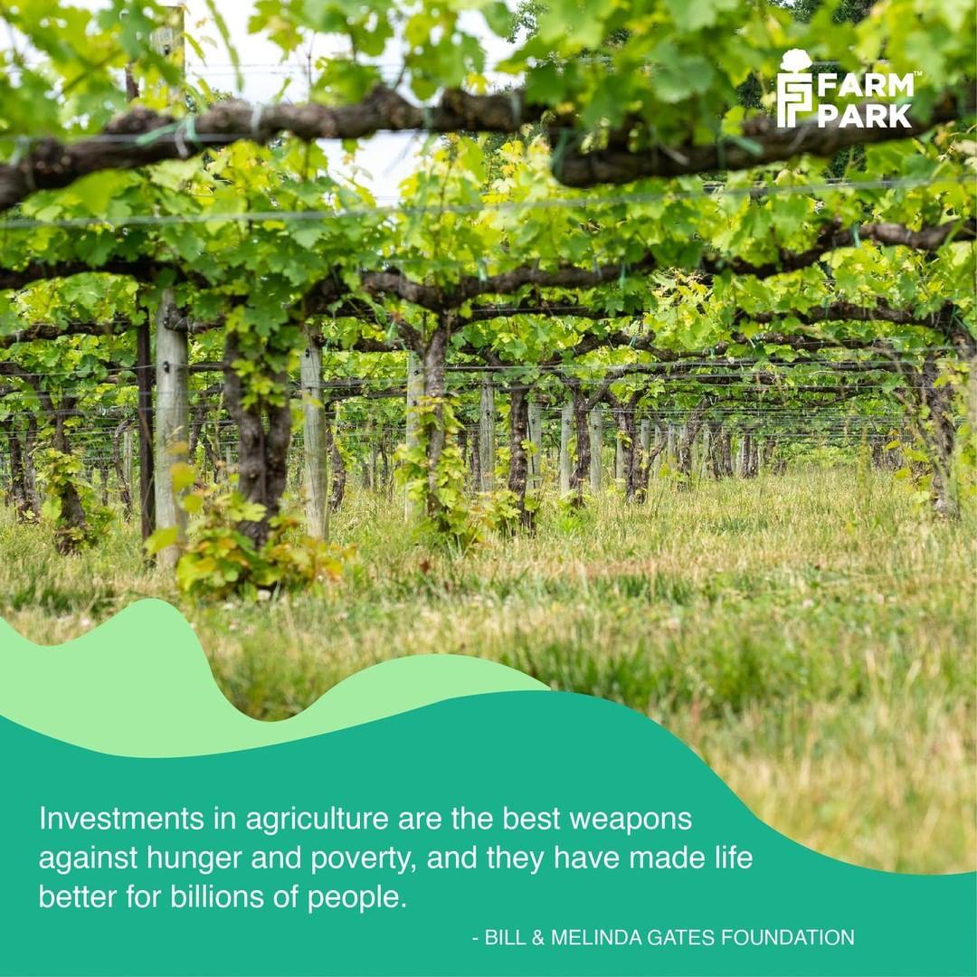 FarmParkNG's tweet photo. Do not wait to invest, invest to wait
#agrobusiness #agroinvestment #agrofarming #farmpark https://t.co/fgiUEKA5j0