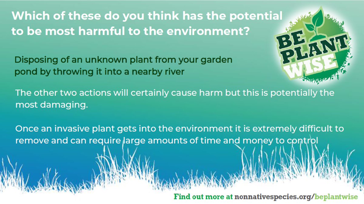 Were you correct? #InvasivePlants can be extremely difficult to remove and control can be costly. You wouldn’t flytip a fridge so #BePlantWise and don’t dump your plants! nonnativespecies.org/beplantwise