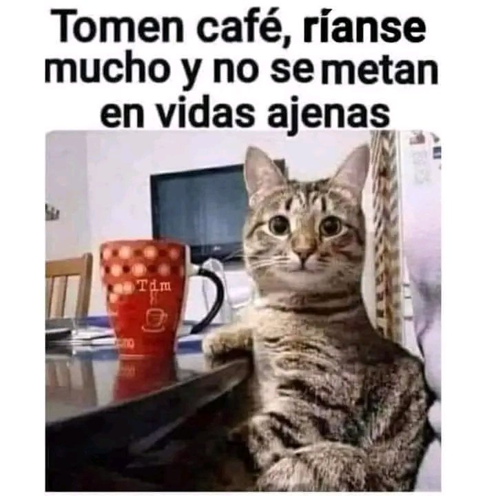 Con un poco de humor #JovenClubGranma les desea el mejor de los días y una fabulosa semana.
#JovenClubTeConecta así que búscanos, tenemos variedades tecnológicas al alcance de tu mano 😉