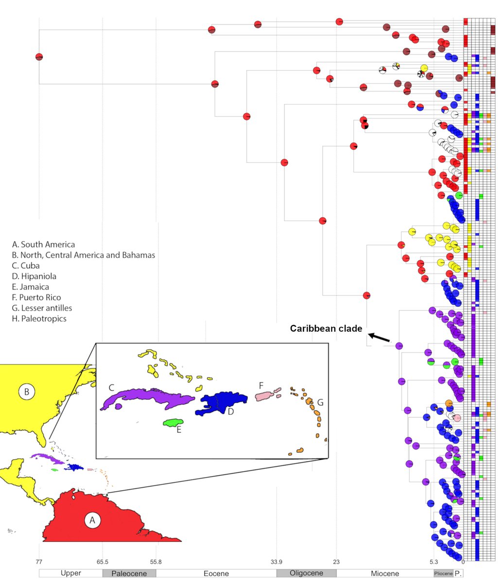 Fabián A. Michelangeli tweet media
