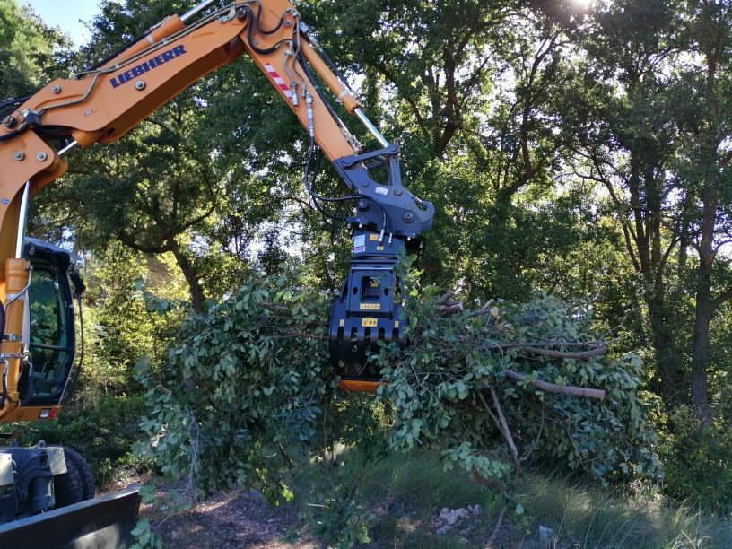 MB America tweet media