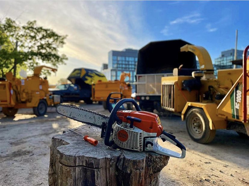 Good morning #Toronto and #torontohomeowners — be sure to stay ahead of things with the coming snow and storm season!  Request a free quote from toarborist.com today to see how we can improve the health and beauty of your trees as well as mitigate risk!