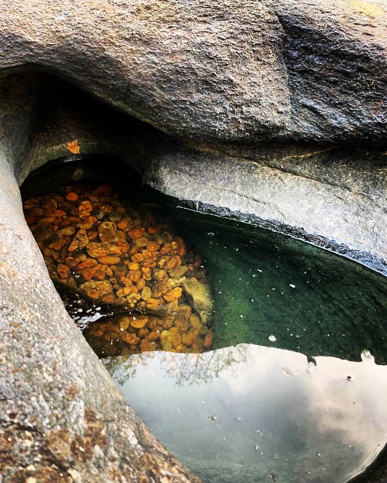 Capturing the serene beauty of forest ponds. Nature's tranquil classroom, where every reflection tells a story of life and growth. 🌲🌿🍃 

#ForestPonds #NatureEducation #EmeraldForestReserve