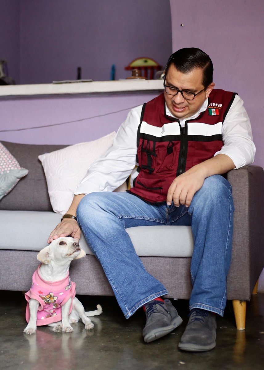 castillejoschis's tweet photo. A este movimiento fundador se suman voluntades y voluntarios; aquí les presento a “Nina”, la simpática lomito de mi compañera Bella Luz. 

Mi gratitud por esta labor que realizan día con día para dar continuidad a la transformación de nuestro Chiapas. https://t.co/By0fvt8EEc