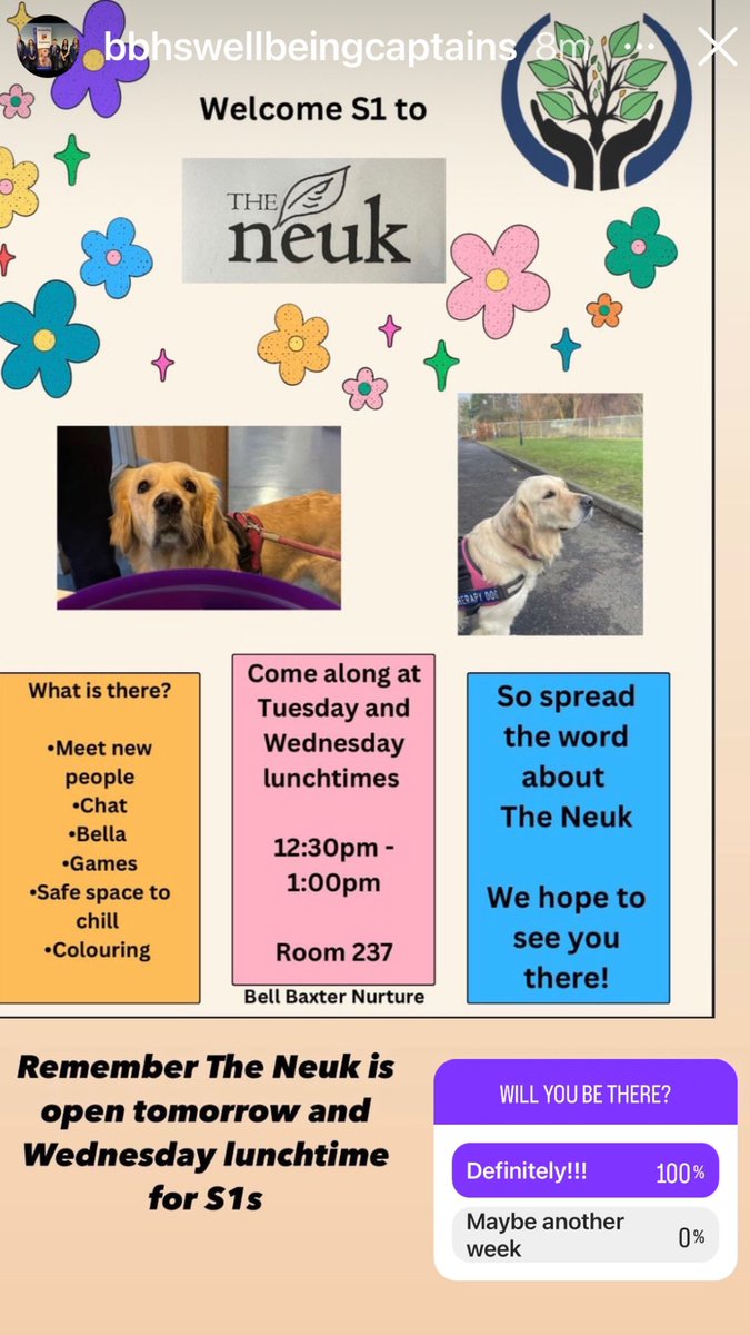 Bella the Therapy Dog tweet media