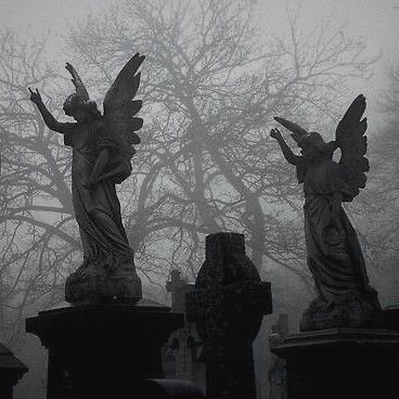MidnightWitchRP's tweet photo. ⠀⠀⠀
⠀⠀🕯️ ⠀ 𝕸𝐈𝐃𝐍𝐈𝐆𝐇𝐓, 𝖂𝐈𝐓𝐂𝐇 𝕮𝐈𝐓𝐘.

ㅤㅤㅤㅤㅤ᭕ rol cerrado.
ㅤㅤㅤㅤㅤ᭕ sin cupos limitados.
ㅤㅤㅤㅤㅤ᭕ fantasía sobrenatural.

⠀⠀⠀   ━┈━┈ © #MWCRP

⠀⠀⠀ https://t.co/HCGPu0x4R3