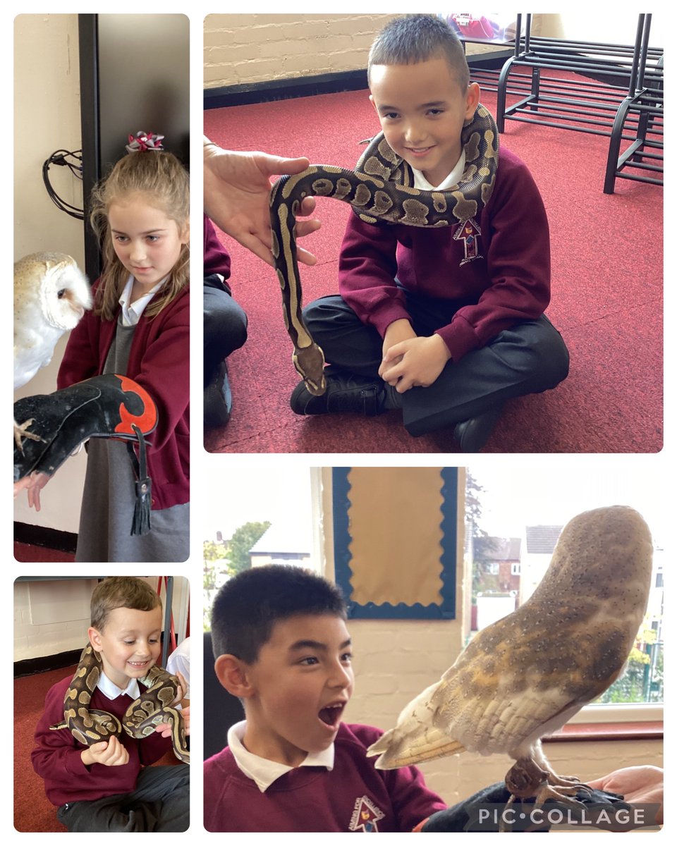Last week, we had a fun visit from @AnimalsTakeOver where we got to hold and pet some different animals, and learn about their skeletons too! #RPScience #RPEnrichment