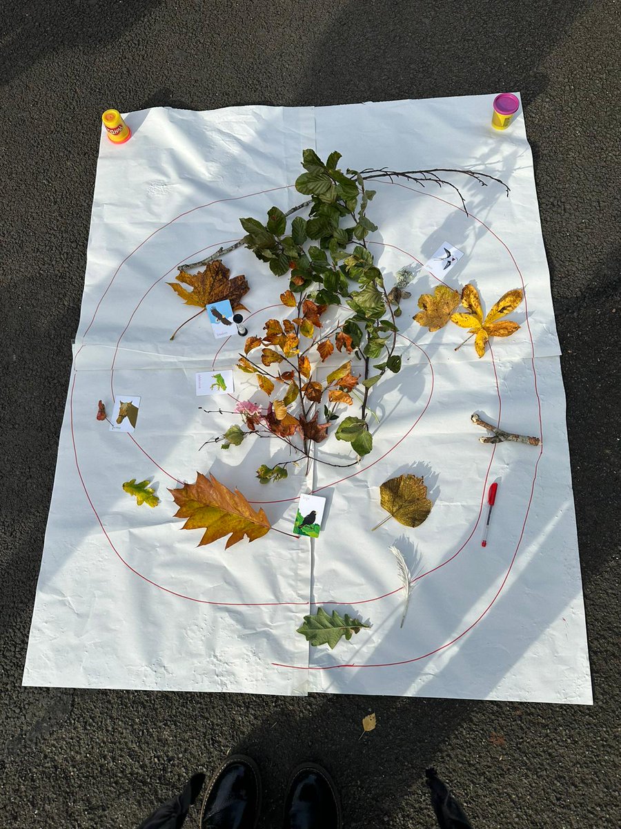 SC16 Family Nurses learning cohort consolidating advanced practice skills and prepping for the next stage of their leaning journey through mandala art. #outdoorlearning #growthmindset #reflectivepractice