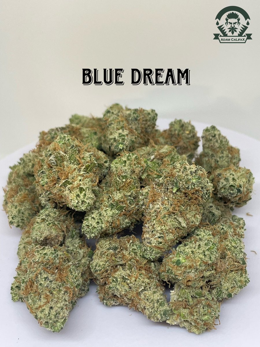 ACalifak's tweet photo. งานดอกอินดอร์ 

Blue Dream 

G : 50 บาท
รองรับชำระเงินปลายทาง 

ทางฟาร์มปลูกเอง รับรองคุณภาพ 
มีใบอณุญาติครบ 

#กัญชากรุงเทพ #กัญชา��ังสิต #กัญชากทม #กัญชาราคาถูก #กัญชาออแกนิค #กัญชาเชียงใหม่ #กัญชาog https://t.co/GrLG7XcFNU