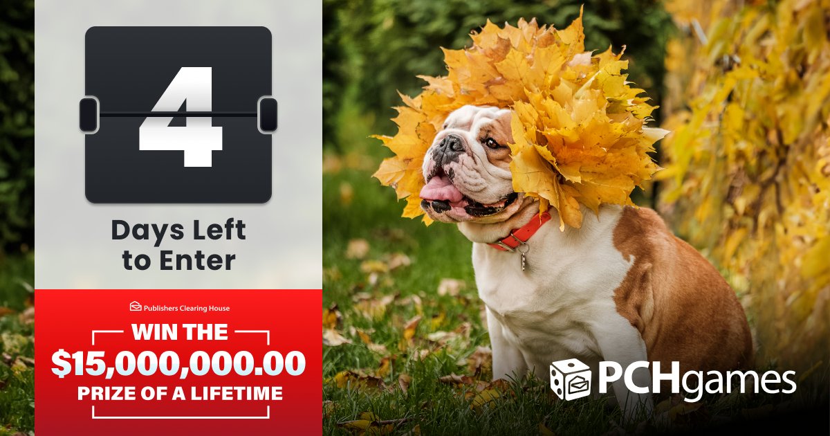 Now, this is just too doggone cute! 🐶🍂

Celebrate the season with us and claim your FREE entry to Win Millions at PCHgames today. (Hurry, only 4 days left!) bit.ly/46ElUiv