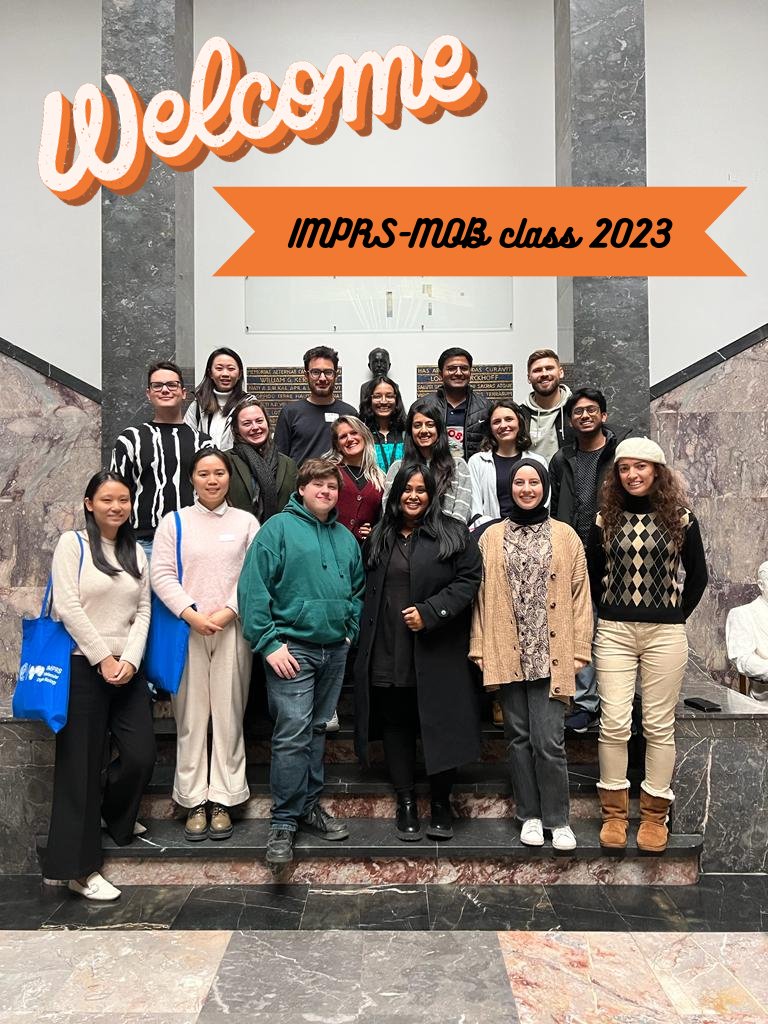 IMPRS_MOB's tweet photo. Warm welcome to our IMPRS-MOB Class of 2023! 🤩We wish you a fabulous start to your #PhD journey and we will #support you every step of the way💪🎓 If you want to know more about our program visit https://t.co/PLTyqjggGd https://t.co/euzBGXnAKI