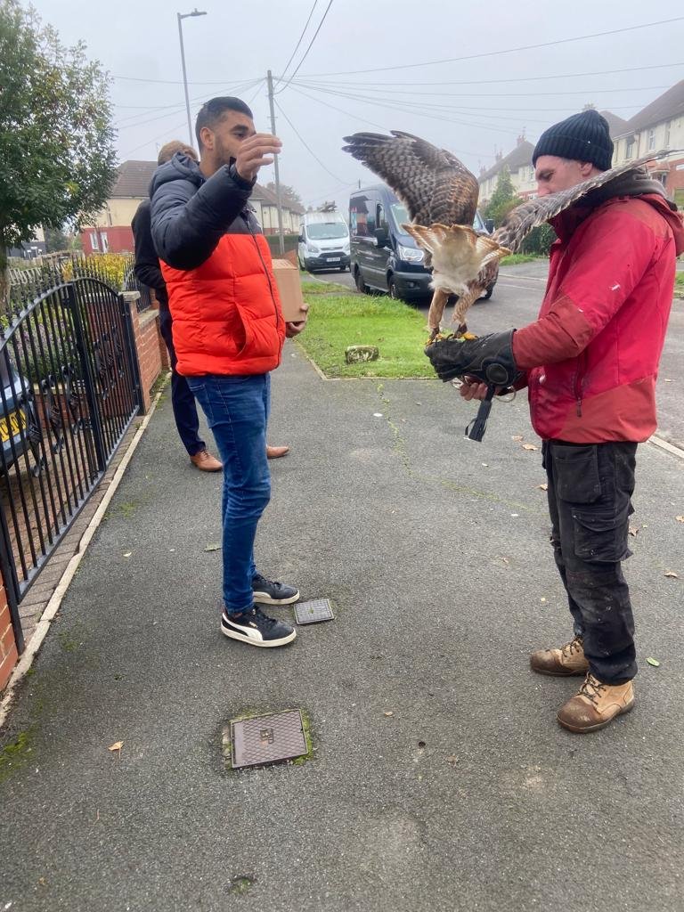 Out with the vandals today @SwainCaz @phillybanister setting up the Dinosaur Trail in Ravenscliffe and Fagley 🦖 But even more random, I met a hawk 🦅