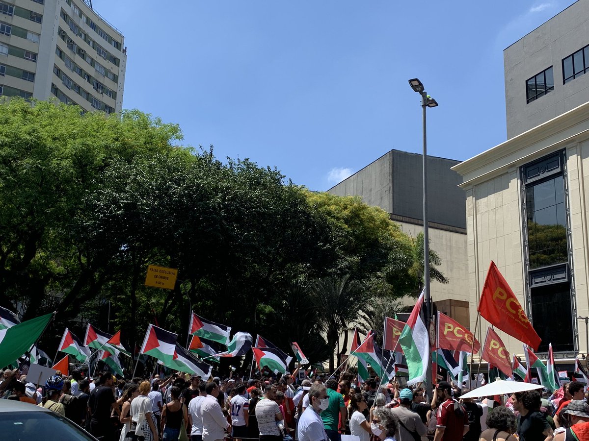 manifestocolet's tweet photo. Registros da mobilização de apoio ao povo palestino ontem na Avenida Paulista. https://t.co/Fo7chgD80B