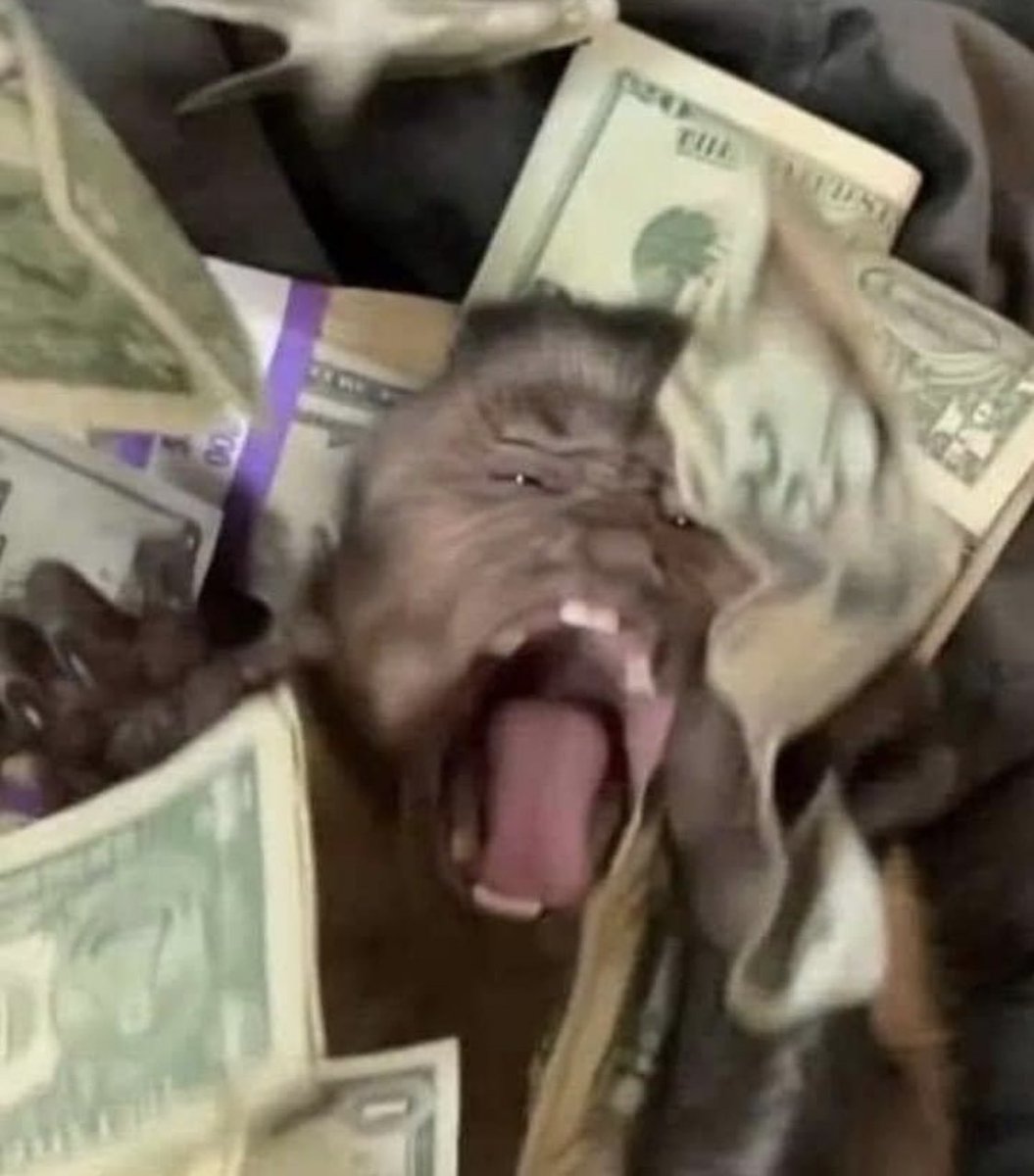 “el dinero no da la felicidad” 
yo con dinero: