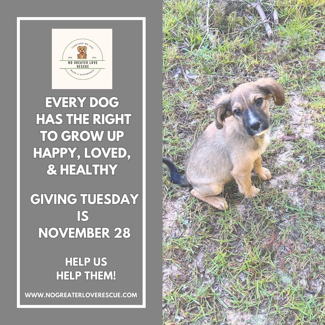 Remember us on Giving Tuesday!