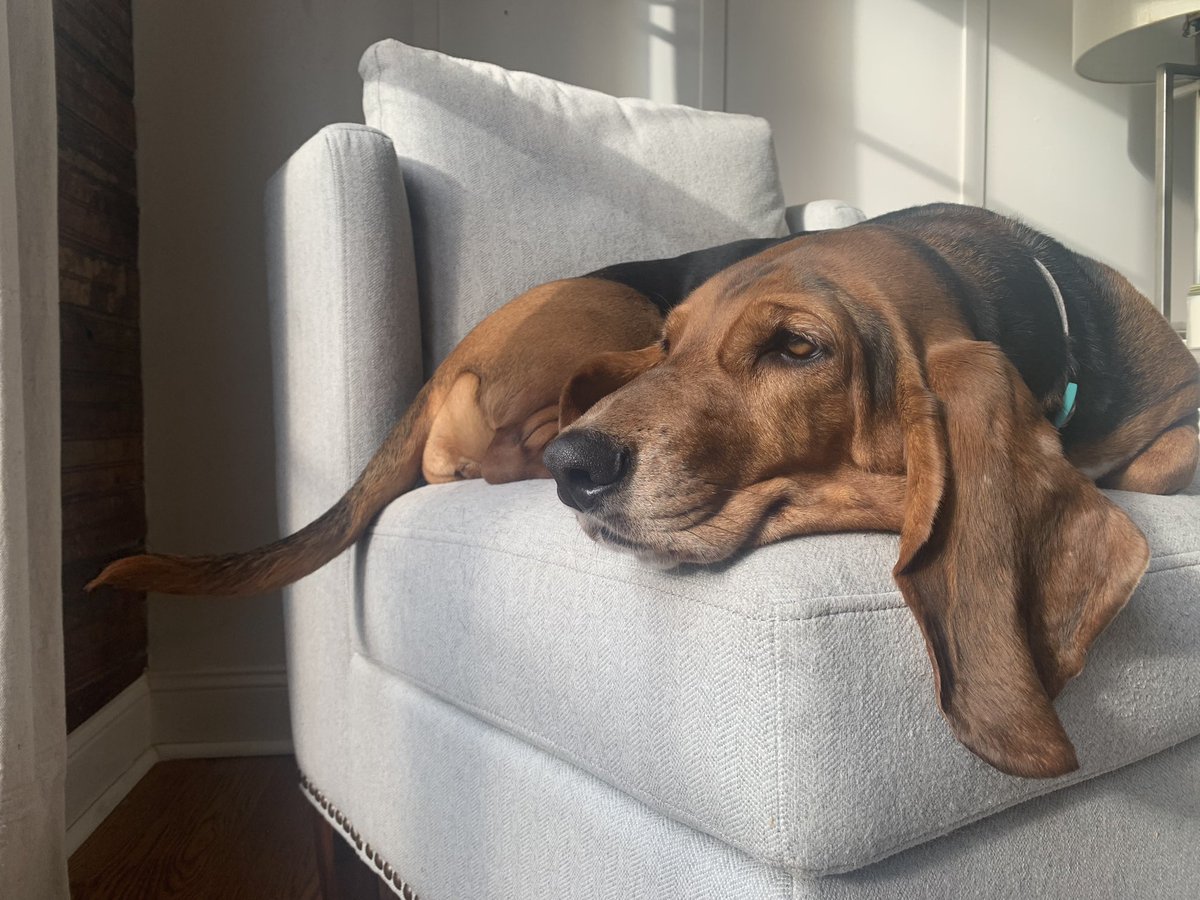 Monday morning struggles are real #HappyMonday