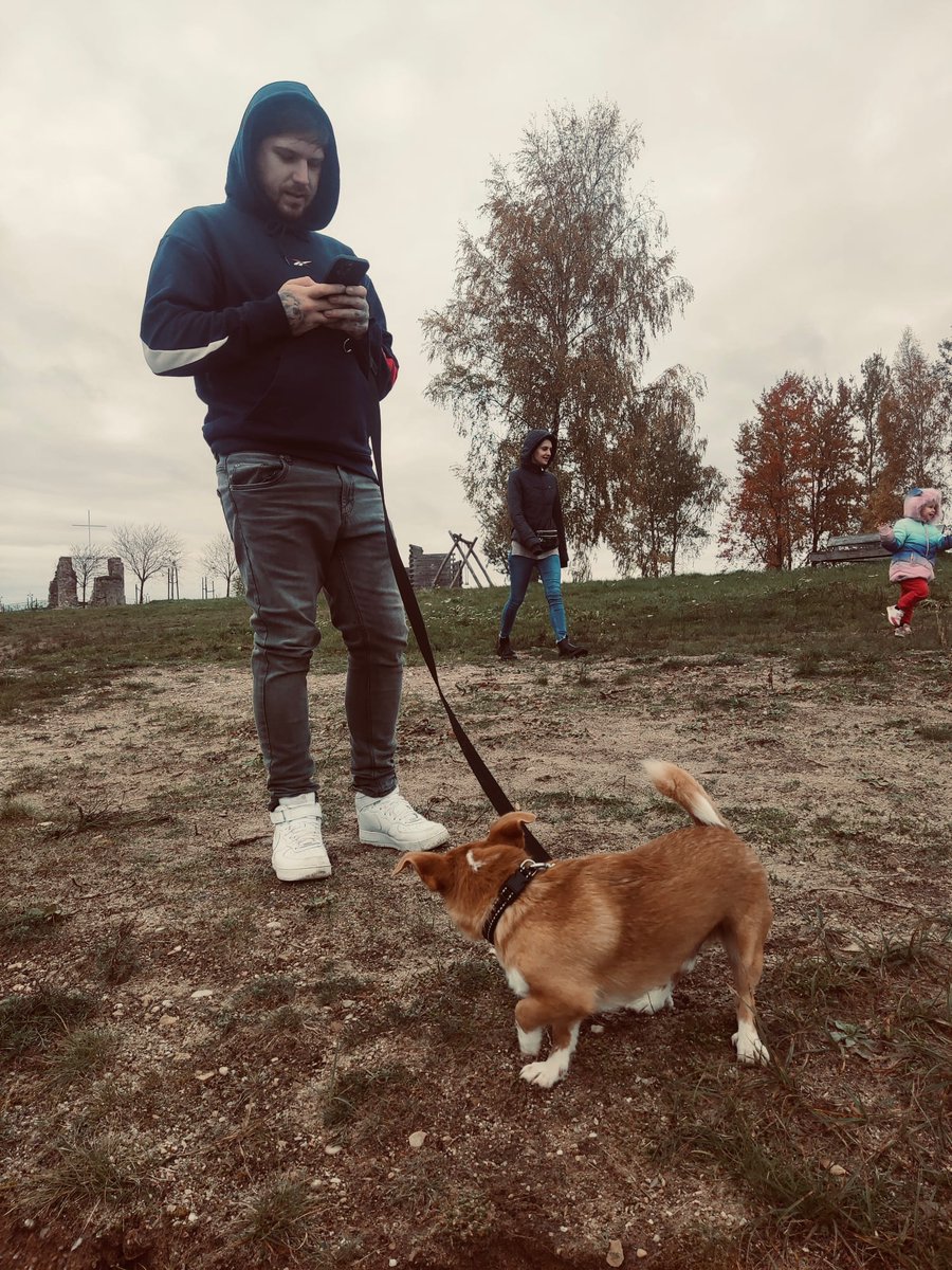 Krists Kalniňš tweet media