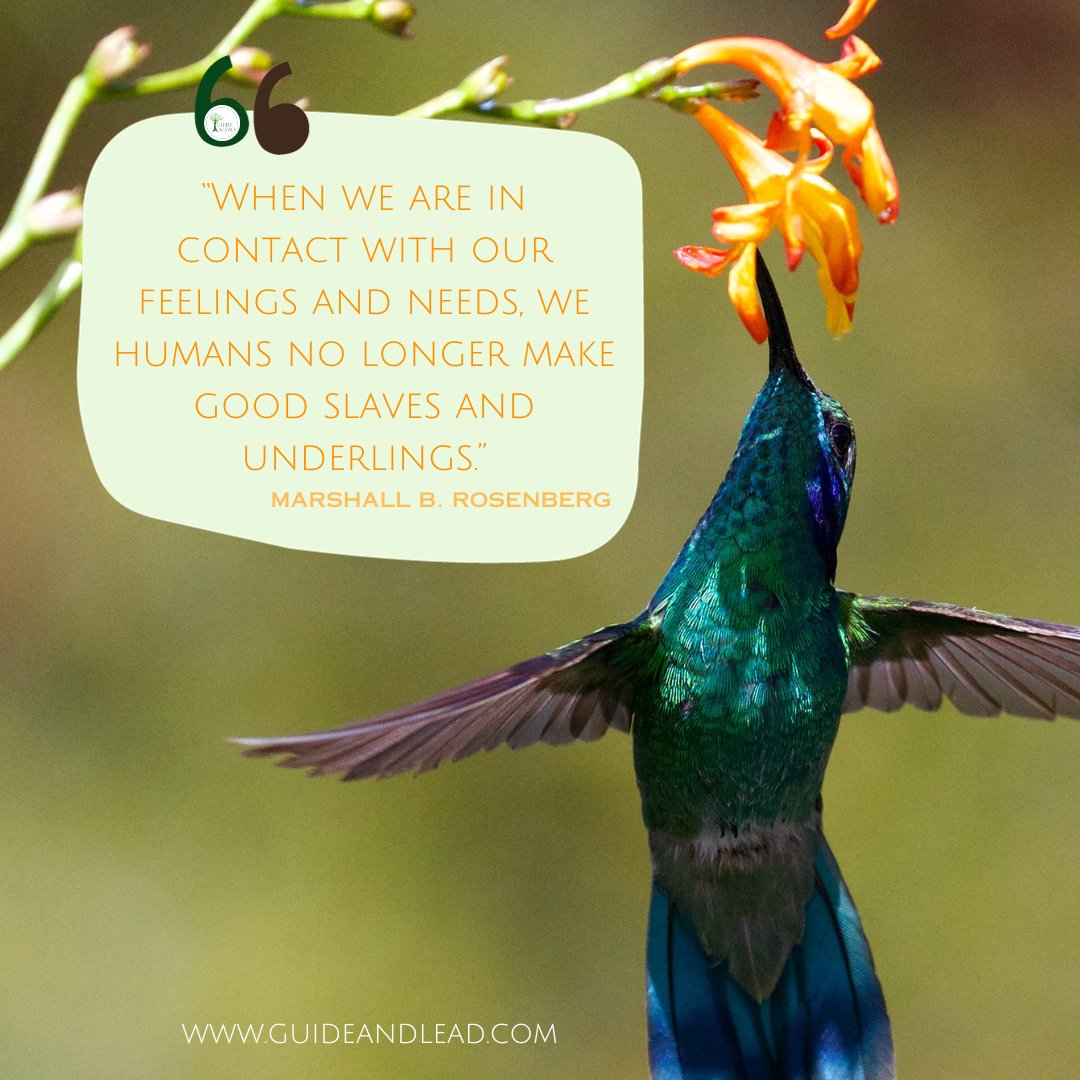 Guide_and_Lead's tweet image. At our schools, children learn from day 1 to understand their needs.  This needs an unlearning of deeply held beliefs about how the world and human relationships work. And it liberates from the shackles of these beliefs and it empowers the individual to strive for real happiness.