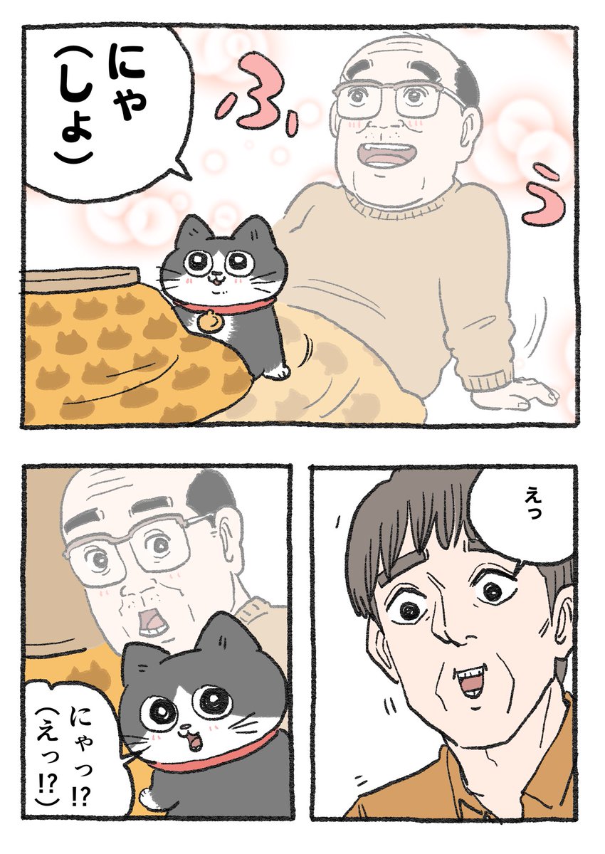 ねこに転生したおじさん。その261