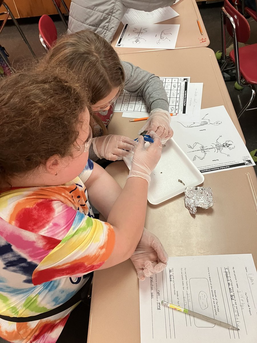 Missy Muller tweet media