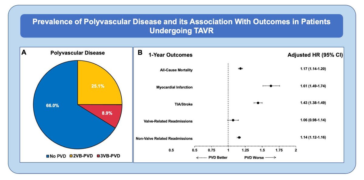 CircIntv's tweet image. Polyvascular disease portends worse outcomes in #TAVR. Insights from the STS/ACC TVT Registry. Presentation @CRF #TCT2023 published simultaneously: ahajournals.org/doi/10.1161/CI… @KannuBansalMD @DhavalKolte @KHERA_MD @fahadgilanimd @SammyElmariahMD #TCTConference #ACCFIT #AHAJournals