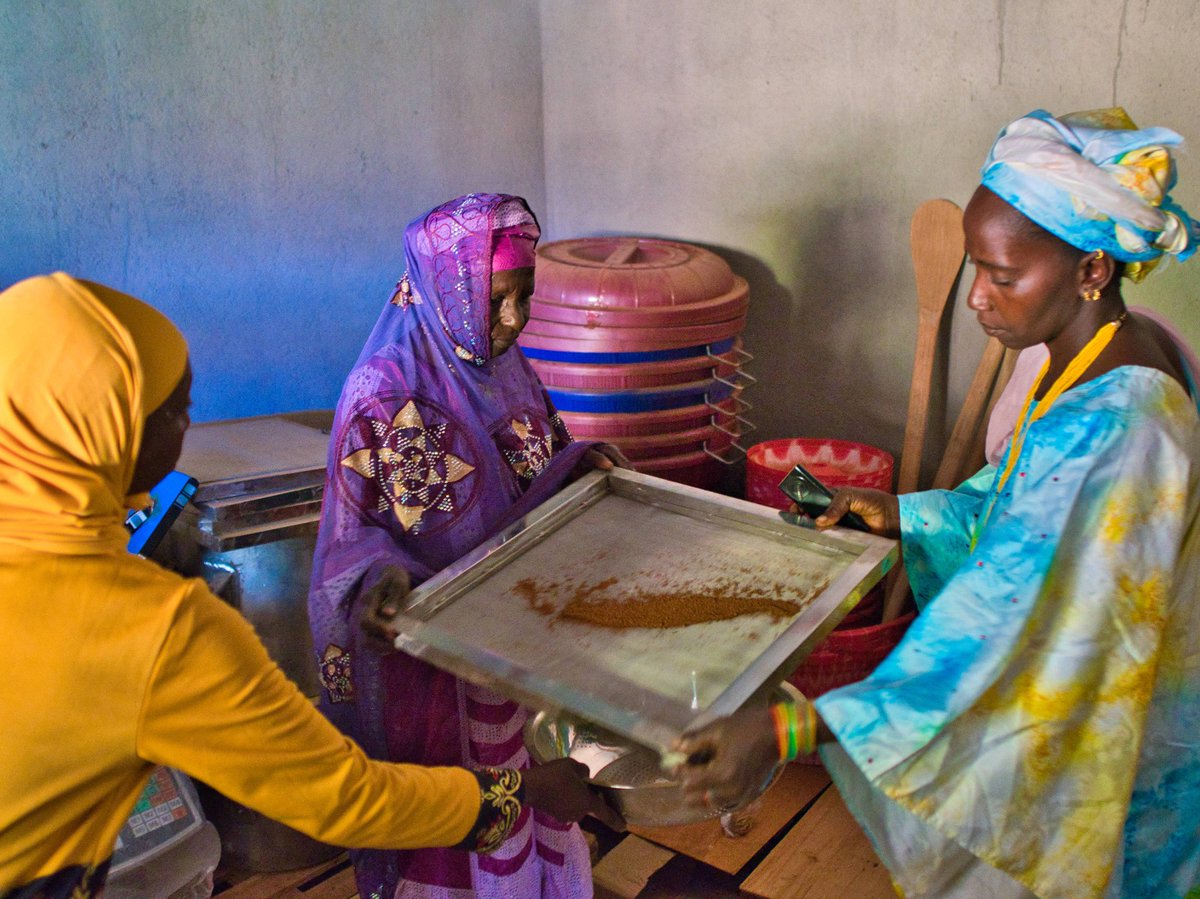 🌾La Coopérative Foly Rewbhè bénéfiaire du programme INTEGRA, experte en sombara, franchit de nouveaux sommets de qualité et d'efficacité ! Grâce à des équipements dernier cri, la production a permis d' offrir le meilleur du sombara et promouvoir le contenu local💪