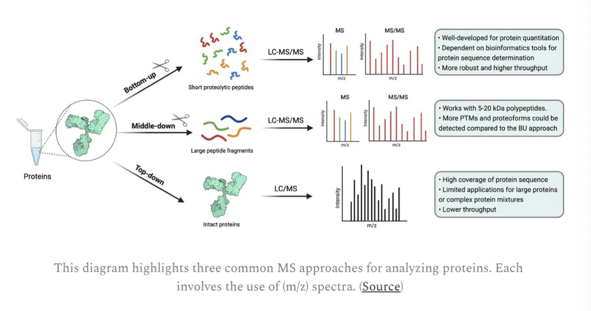 SimonDBarnett's tweet image. 7/n
While powerful for transcriptomics, #isoform sequencing could supercharge protein detection in a perhaps non-obvious way. 

Mass-spec (MS) involves detecting mass/charge (m/z) spectra as shown below. Though common, bottom-up methods face several challenges.
