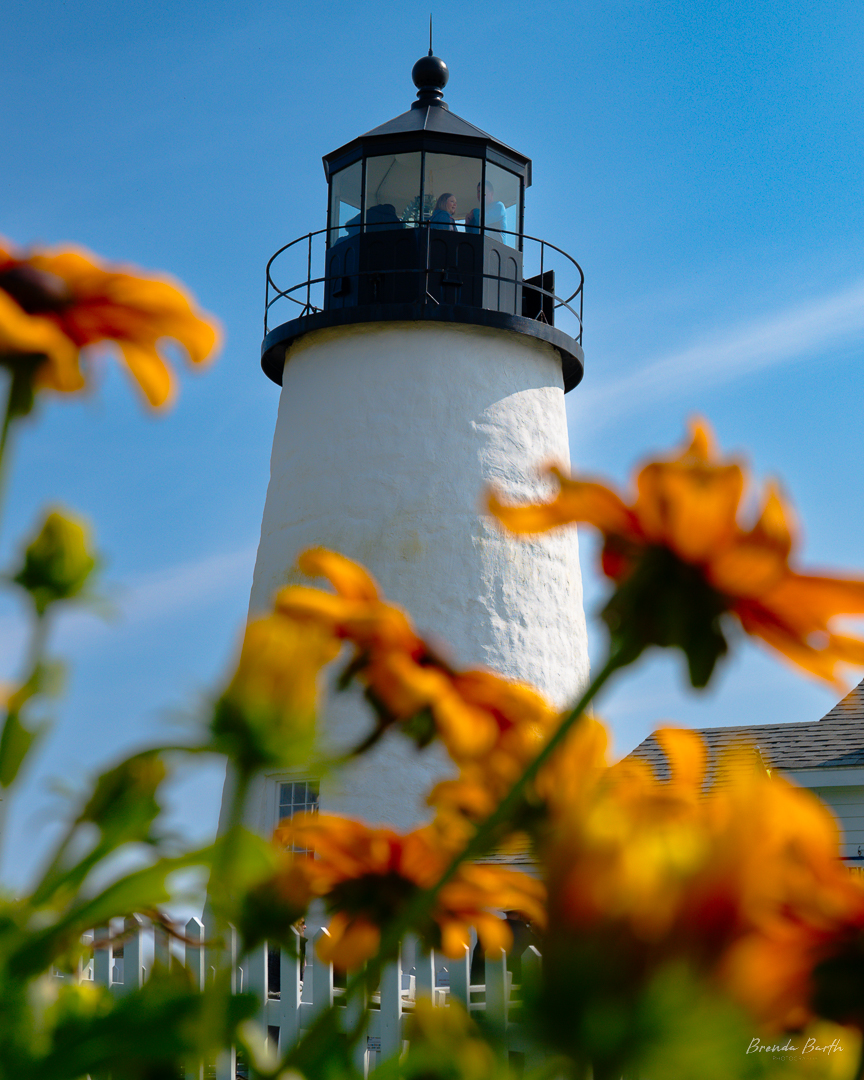 BrendaWBarth's tweet photo. Pemaquid Point Lighthouse.
#lighthouse #lighthouses #lighthousesofinstagram #outsideismybestside #nikon #nikonusa #nikonz6ii #nikonphotography #nikonphoto #nikonoutdoors #adventure #explore #exploremore #neverstopexploring #landscape #travelphotography https://t.co/ahrY3GP74D