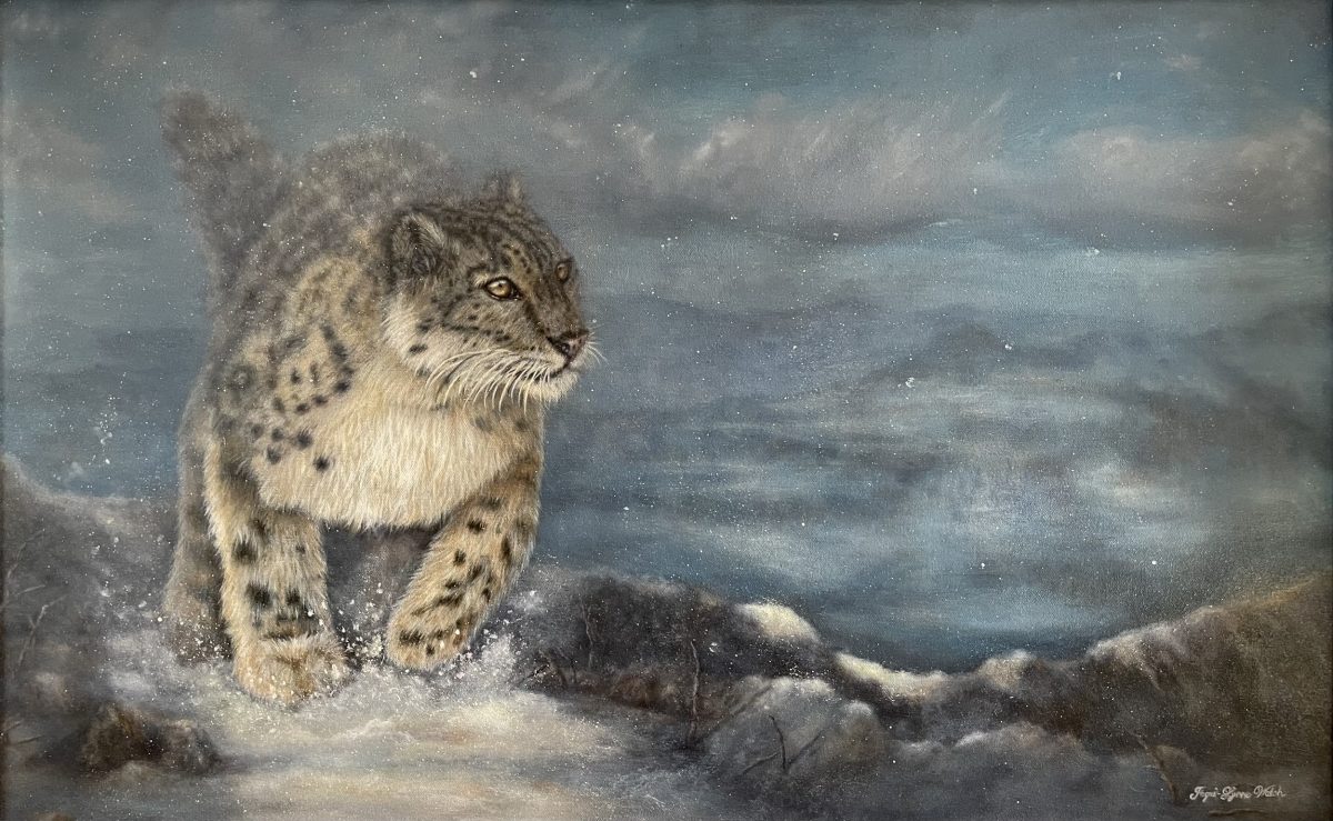 Happy International Snow Leopard Day! Artwork: Jaqui-Lynne Walsh