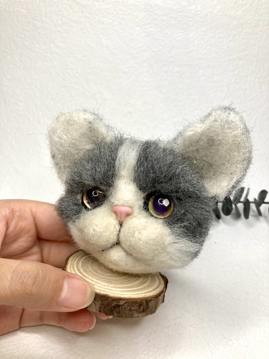 Supercat_2023's tweet photo. Oh, I didn’t mean to make it cry  https://t.co/1DbZpcrsbz https://t.co/ad7BdbfVV2