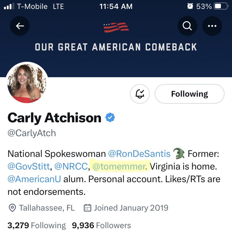 Laura Loomer tweet media