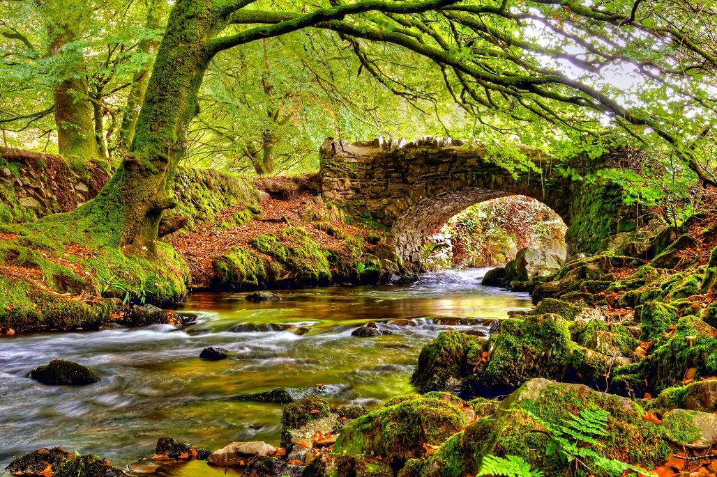 Autumn colours at possibly Exmoor most famous bridge  Robber's Bridge in the Doone Valley
#autumn #Robbers #Bridge #DooneValley #Exmoor #Exmoornationalpark #Somerset 
@visitexmoor  @VisitSomerset @VisitEngland @ExmoorNP @ExmoorMagazine