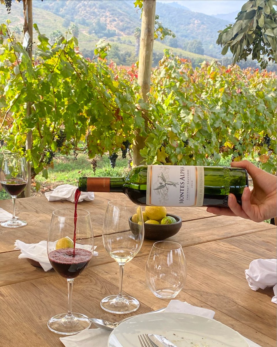 MontesWines's tweet photo. We enlisted the expertise of Francis Mallmann at Fuegos de Apalta, one of Argentina's renowned culinary figures, celebrated internationally for his multiple awards.

1/2 https://t.co/7nRXv1z2AD