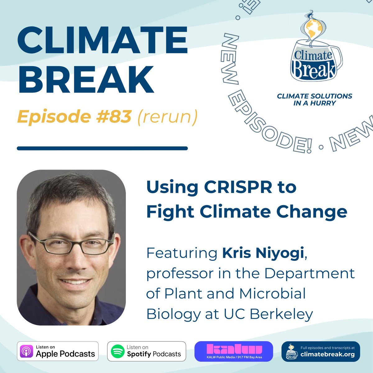How can we utilize #CRISPR to fight climate change? 

Professor Kris Niyogi from the Department of Plant and Microbial Biology at @ucberkeleyofficial dives into the realm of genetic manipulation as we explore how CRISPR technology is harnessed to augment photosynthesis in plants: