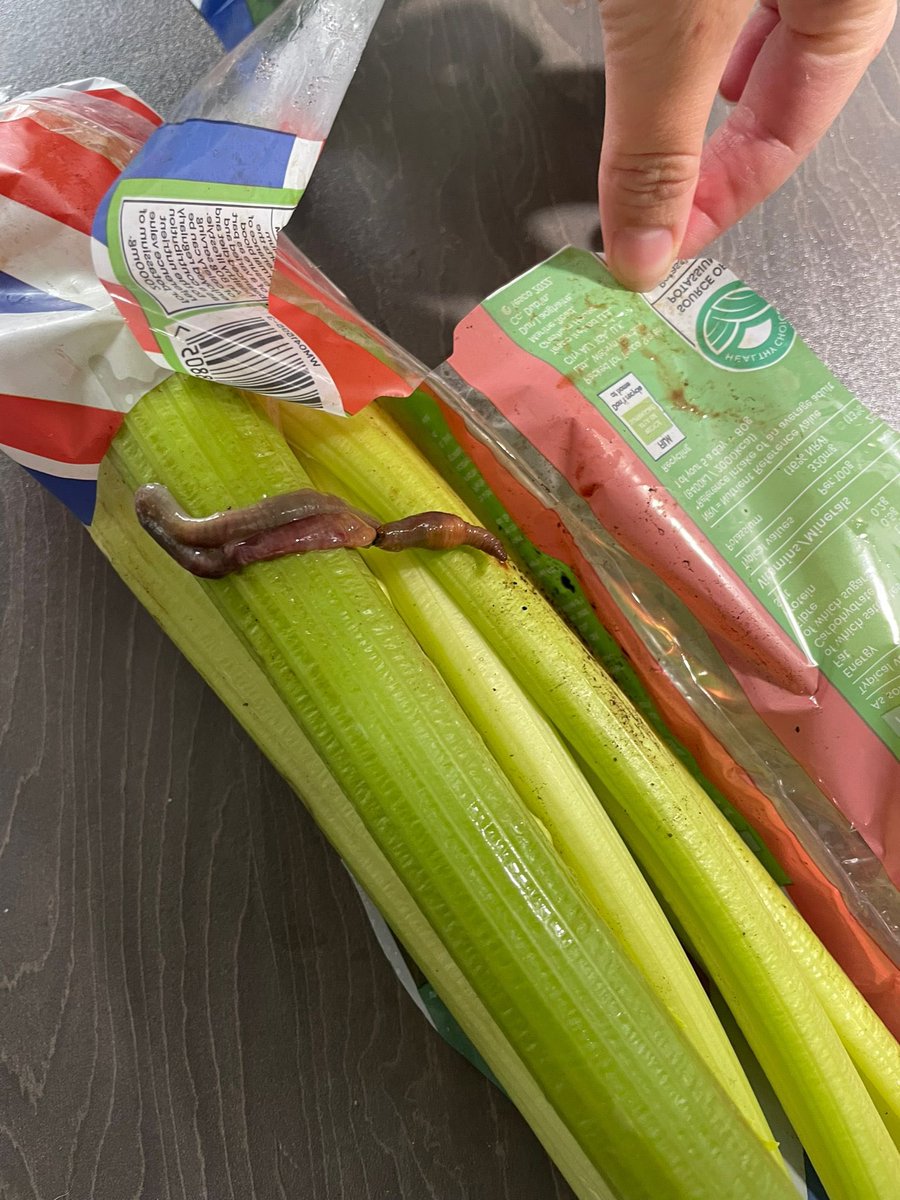 CalShirley's tweet photo. @Tesco had our celery delivered in our online shopping with a WORM within the packaging. Absolutely revolting. I would like my whole shop refunded please, that is not on. https://t.co/ZadSWZE619