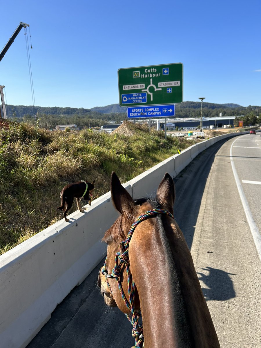 After loosing my sons father in 2021 from depression I'm ridding on horse to raise awareness and encourage men that it’s ok speak up and seek help.Let's come together and support those in need #MensMentalhealth
#RideForHope
#SydneyToBrisbane
#WeAllBleedTheSameMenAndWemon