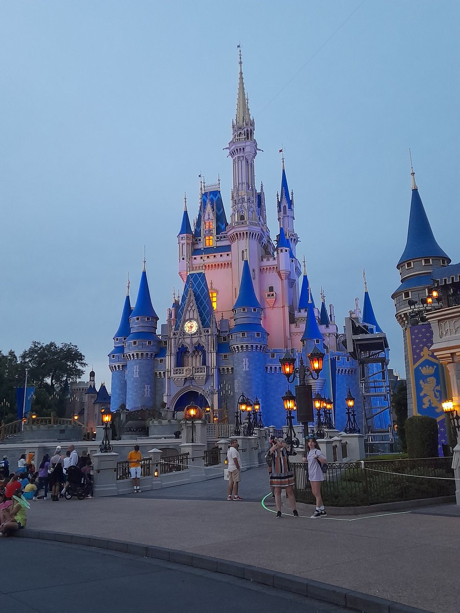 Jayne Dudley tweet media