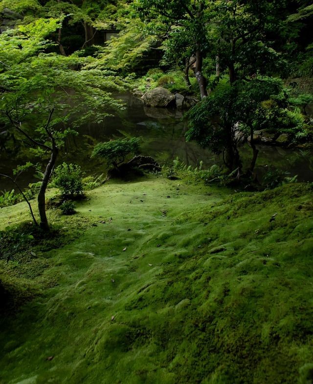 elemmiressoul's tweet photo. green life. https://t.co/g9DM93hvRg