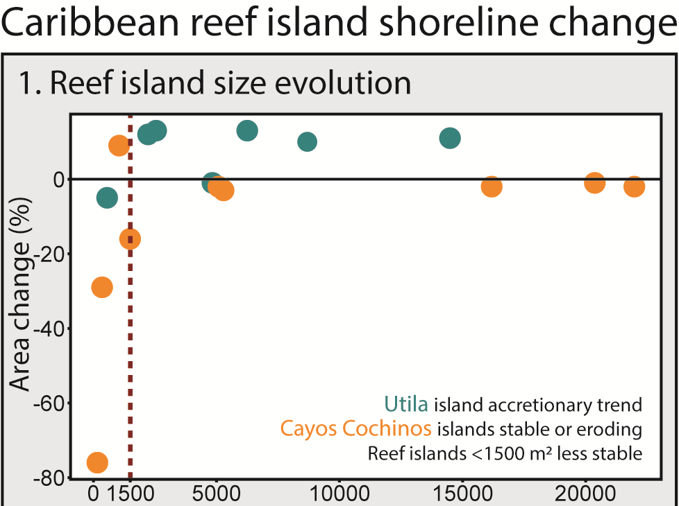 Emi Husband tweet media