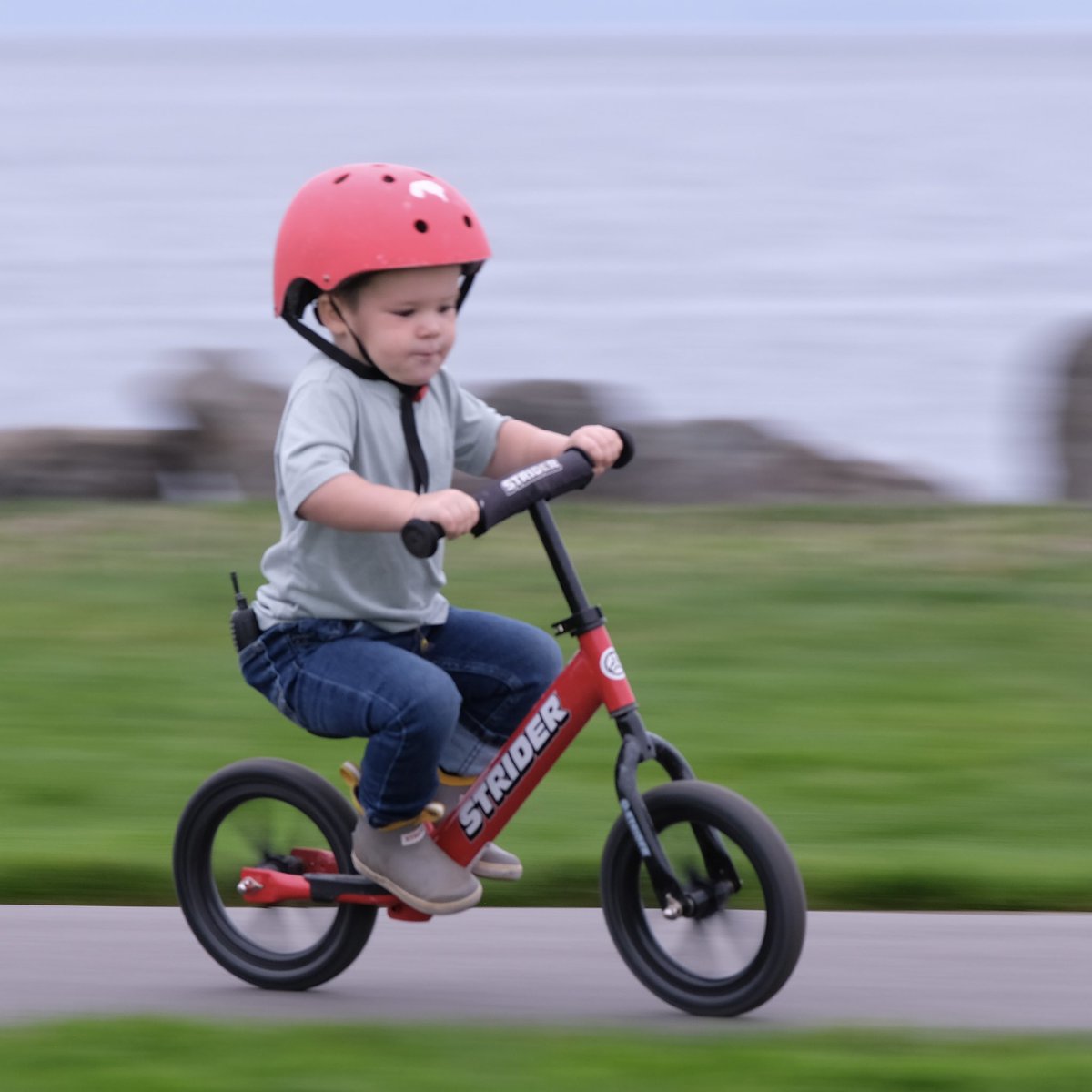 Will2PhotoWell's tweet photo. @StriderBikes Thank You! ππΌ
I forgot to properly tag this other adorable lilβ #StriderRider!
I *love* his #focus! π€©
#seafeast #kids #bicycles
#street #streetphotographer
#streetphotography #blur
#bikelife #bike #childhood
@StriderBikes https://t.co/me4sVrp2no