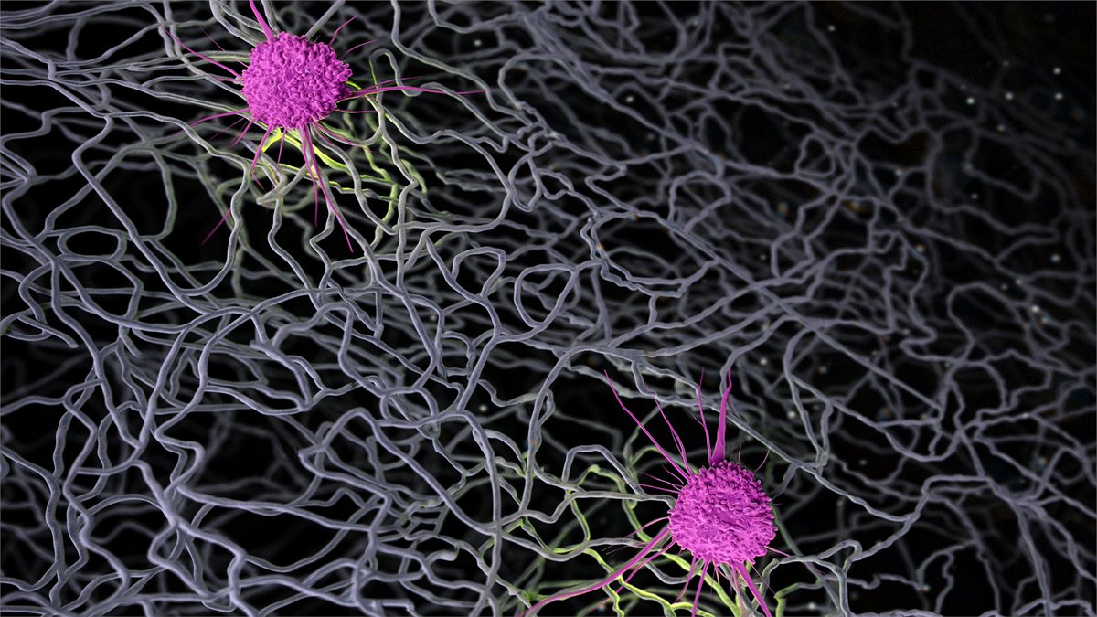 While some medical devices elicit hostile immune responses, others trigger reparative ones. NIBIB researchers shine light on why in a new <a href="/NatureMaterials/">Nature Materials</a> study. Find out how their findings could make for better medical devices: go.nih.gov/Wmlzibl
