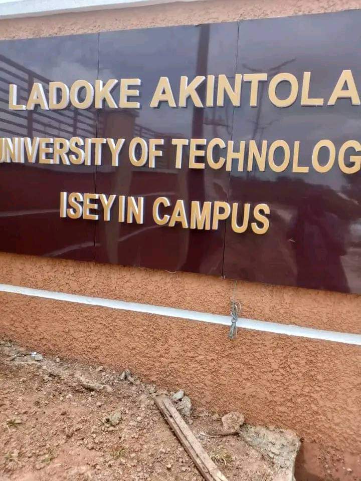 SARKIN Enigma♐ tweet media