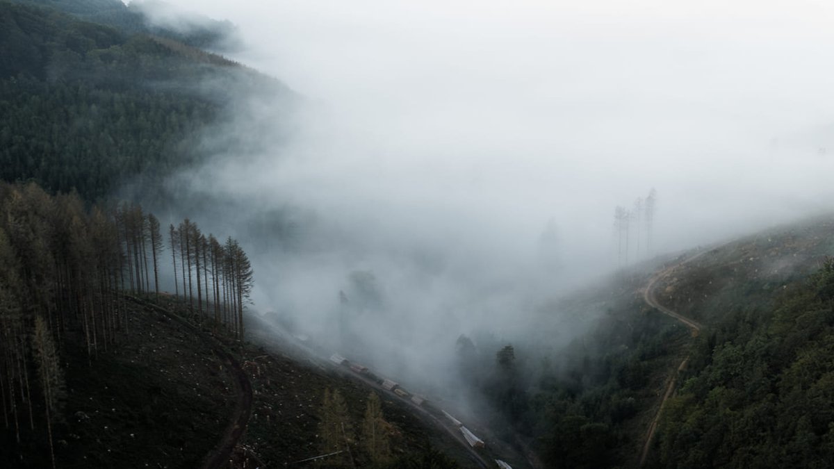 Eure Fotos des letzten #MemoryMonday haben die Melancholie in uns geweckt😉. Danke an Sandra Thieme, Marika Rehbein, Chantal Anders &amp; Wiebke Magdsack für die Bilder.😍

Um ein wenig Schwung in den Alltag zu bringen, lautet unser Thema für diese Woche: Herbstaktivitäten. 🍁🏇