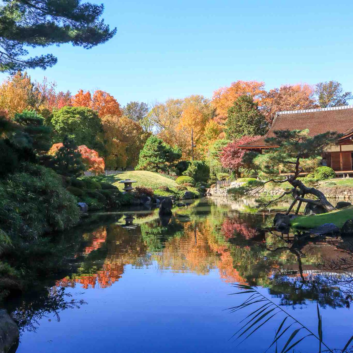 Shofuso Japanese Cultural Center tweet media