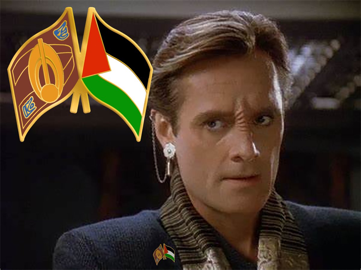Bajoran-Palestinian Solidarity double flag pins coming soon!