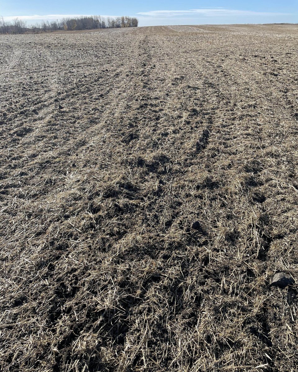 AtomJetAg's tweet image. A 3” paired row opener was in the ground somewhere in this field. Can you tell where it went? #RowCloser #PairedRow #AtomJetAg