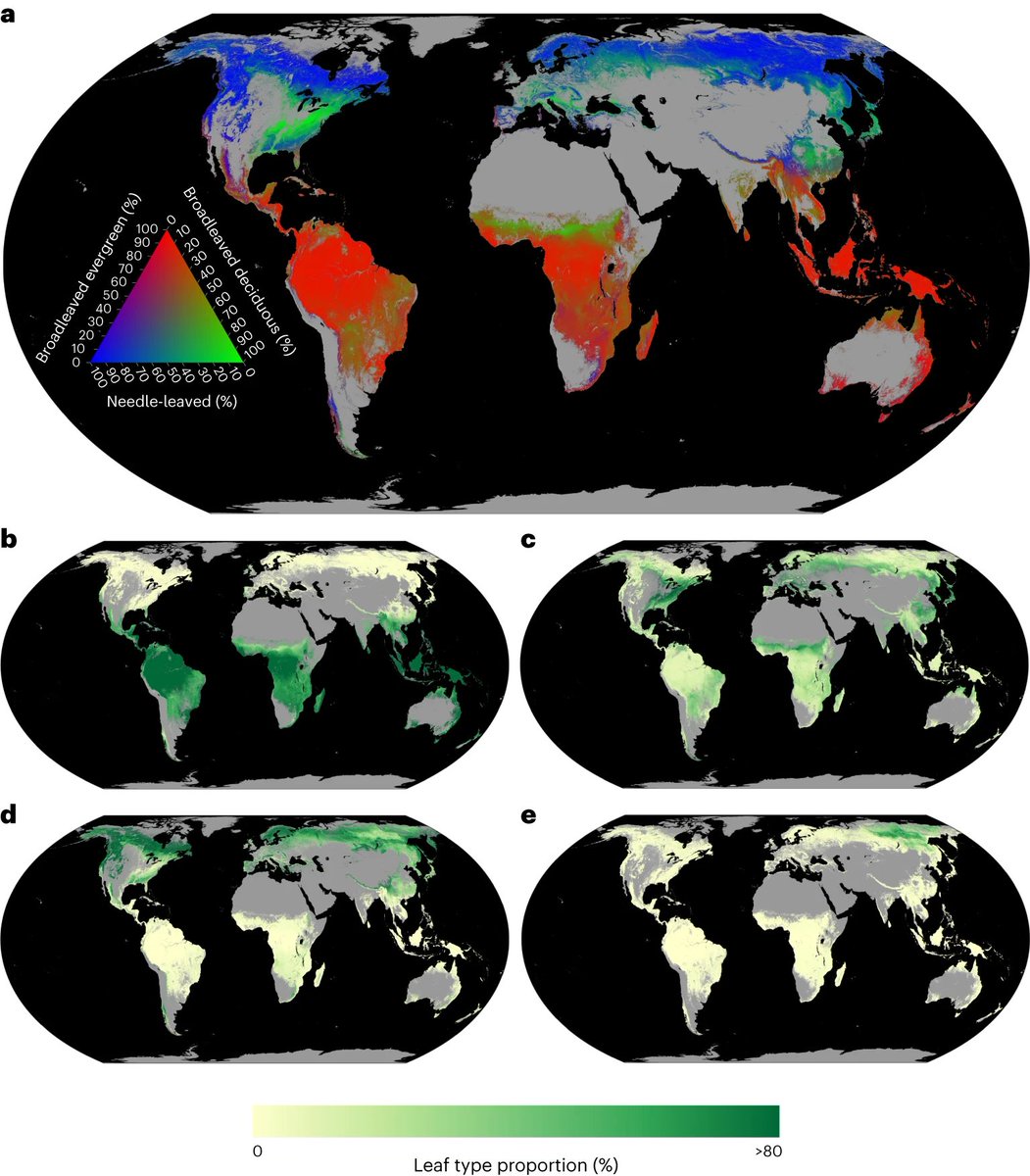 ForestPlots tweet media